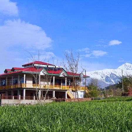 Bir Nest Pansiyon Dış mekan fotoğraf