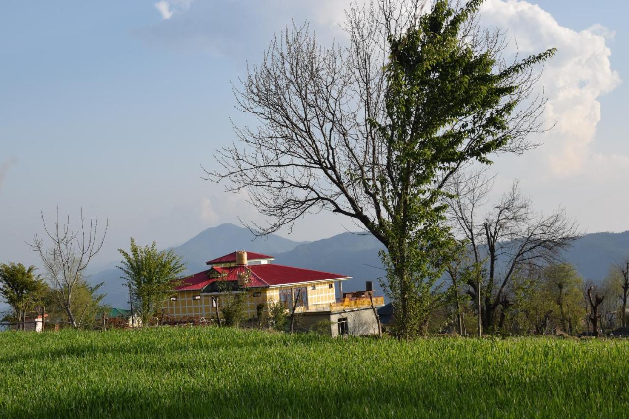 Bir Nest Pansiyon Dış mekan fotoğraf