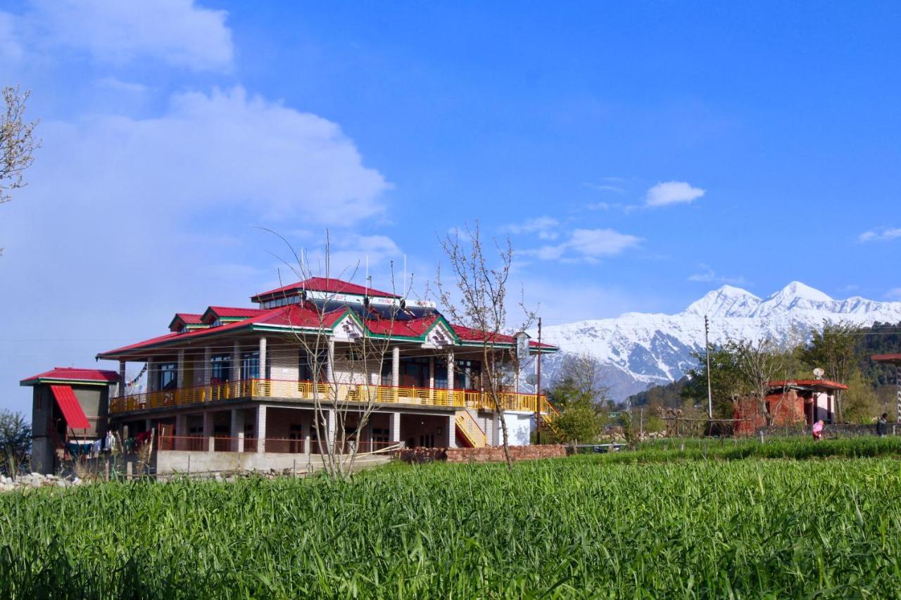 Bir Nest Pansiyon Dış mekan fotoğraf